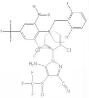Chemical Bound Structure